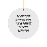 Senator Circle Ornaments Funny Quote Gifts for Men Friends from Family Christmas Decorations - Image 1